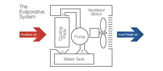 How evaporative cooling works