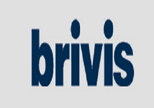 Brivis